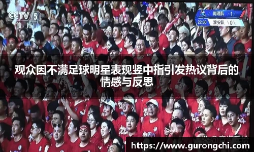观众因不满足球明星表现竖中指引发热议背后的情感与反思